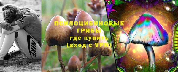 Альфа ПВП Корсаков