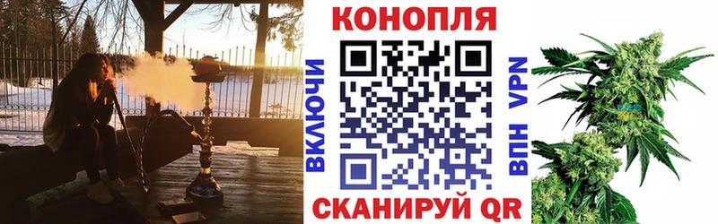 Конопля сатива  Купить закладки  Горняк 